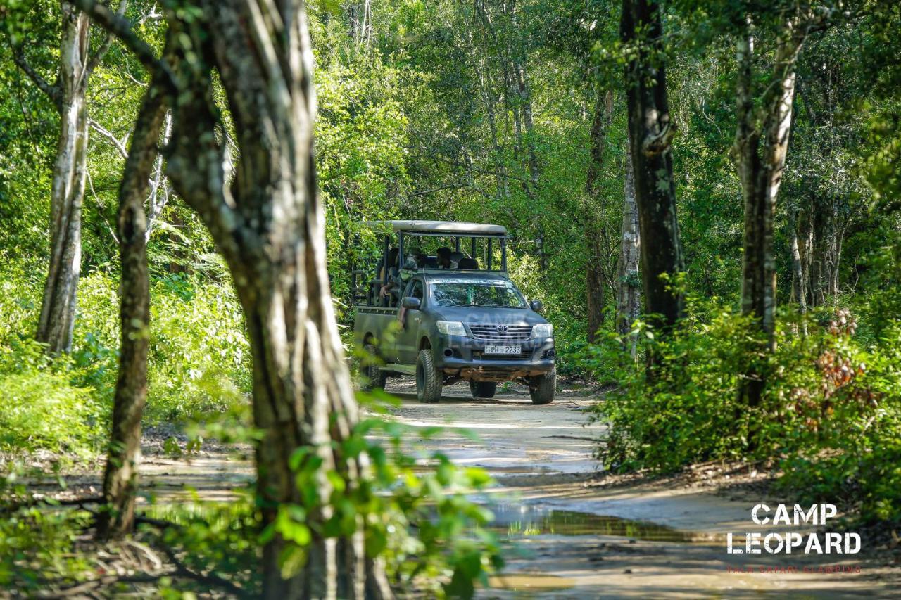 Camp Leopard - Yala Safari Glamping Hotell Eksteriør bilde