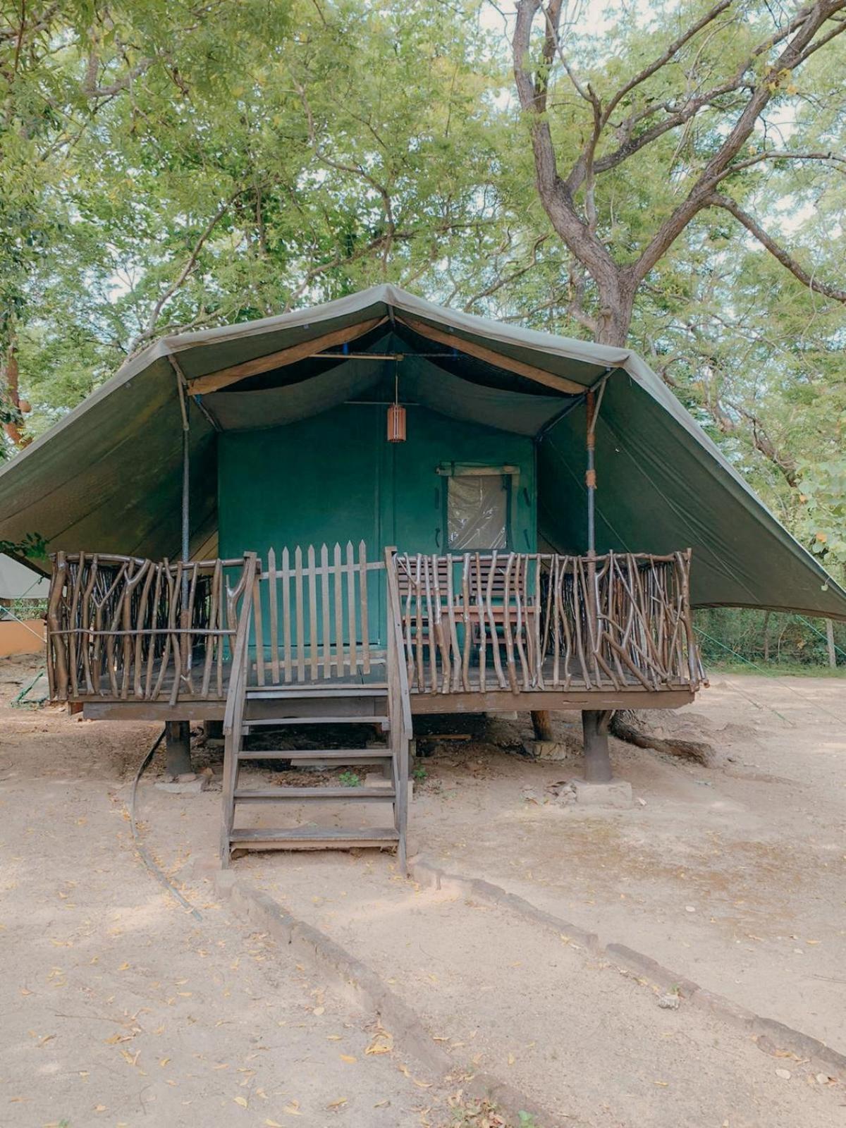 Camp Leopard - Yala Safari Glamping Hotell Eksteriør bilde