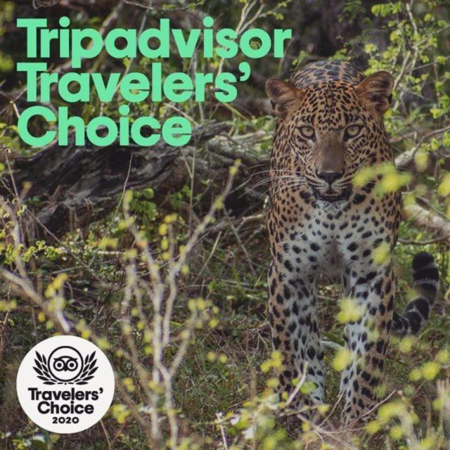Camp Leopard - Yala Safari Glamping Hotell Eksteriør bilde