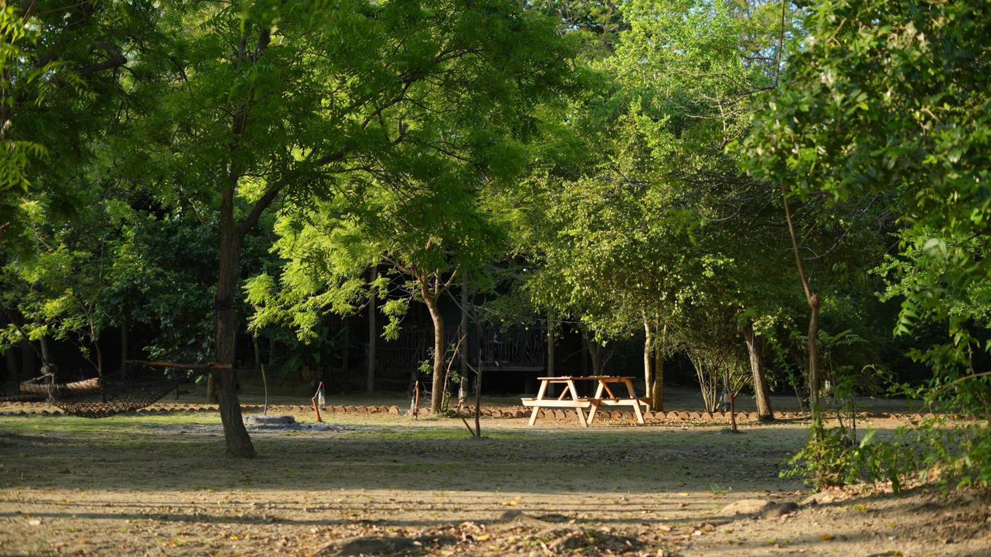 Camp Leopard - Yala Safari Glamping Hotell Eksteriør bilde