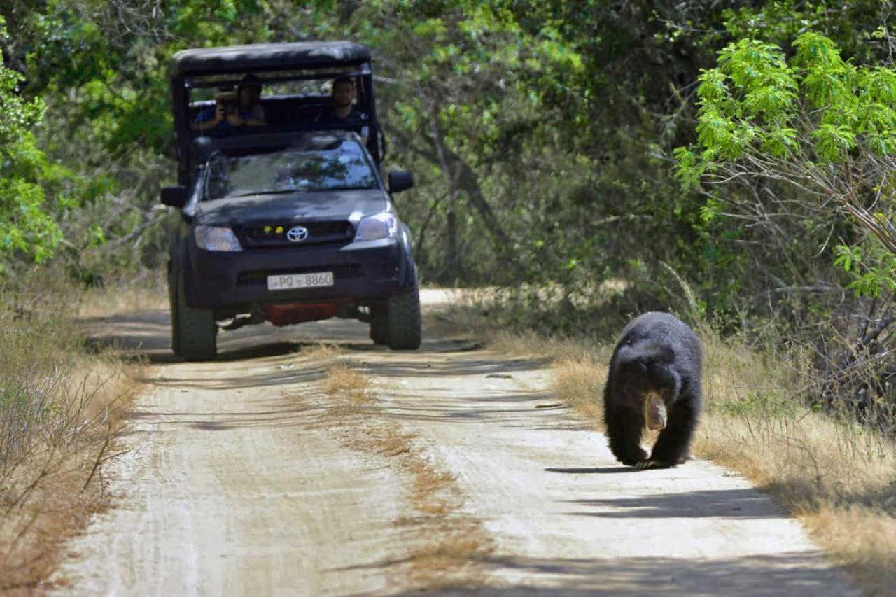 Camp Leopard - Yala Safari Glamping Hotell Eksteriør bilde