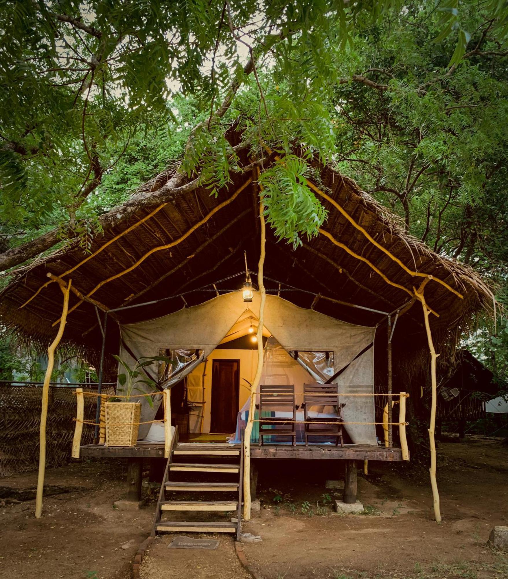 Camp Leopard - Yala Safari Glamping Hotell Eksteriør bilde